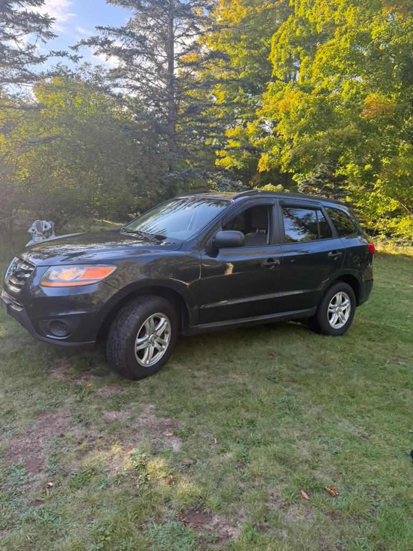 Imagen 1 de 2010 Hyundai Santa Fe